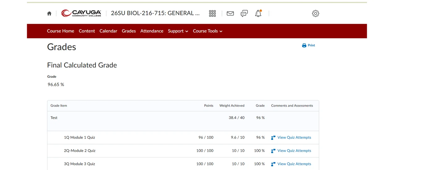 Verified student grade result 2 — real online course gradebook