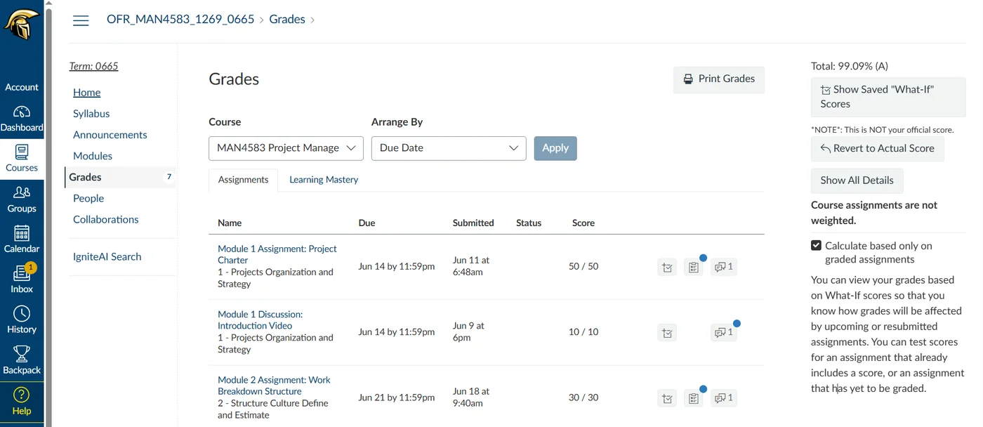 Verified student grade result 3 — real online course gradebook